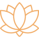 lotus-skin