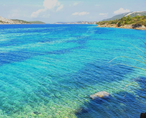 sea-rab